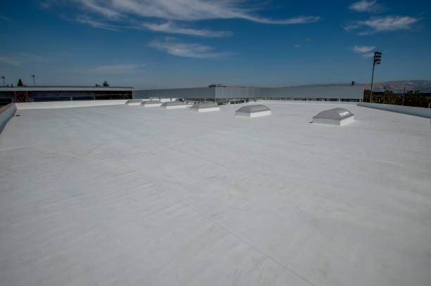 Best Skylight Installation and Repair  in Campbell, FL