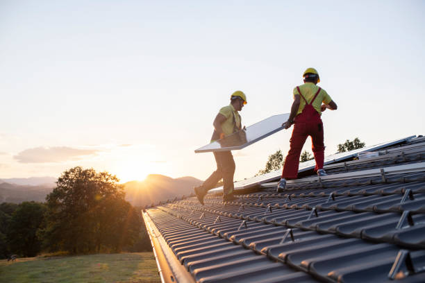 Best Gutter Replacement  in Campbell, FL