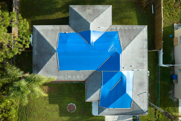 Best Solar Panel Roofing Installation  in Campbell, FL