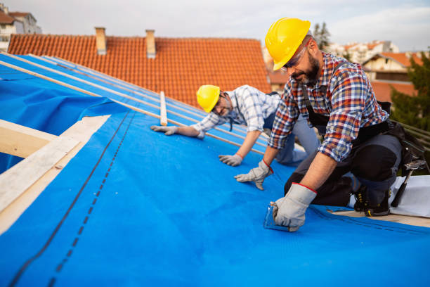 Best Asphalt Shingles Roofing  in Campbell, FL