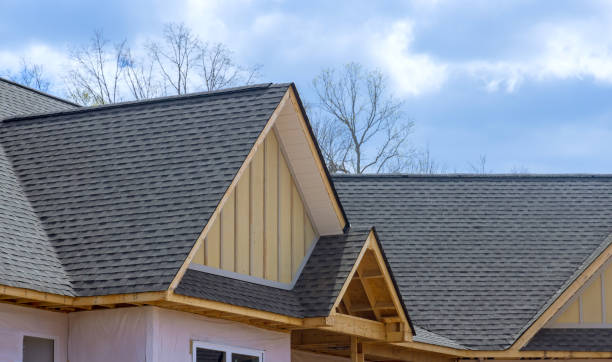 Best Roof Insulation Installation  in Campbell, FL