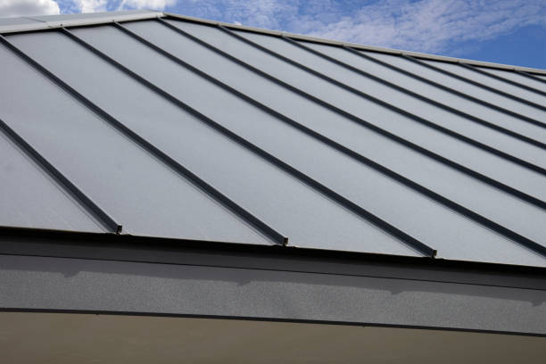 Best Roof Leak Repair  in Campbell, FL