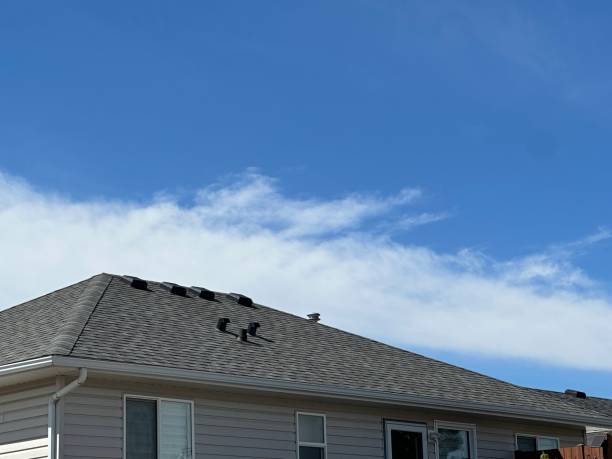 Best Sheet Metal Roofing  in Campbell, FL
